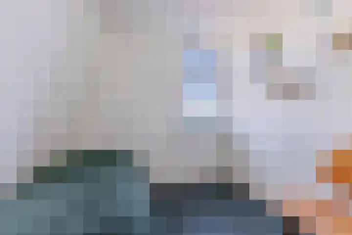 Faunastraat 2 Wormer thumbnail 17