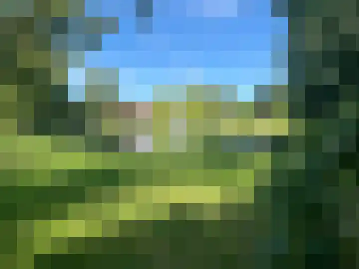 Faunastraat 2 Wormer thumbnail 28