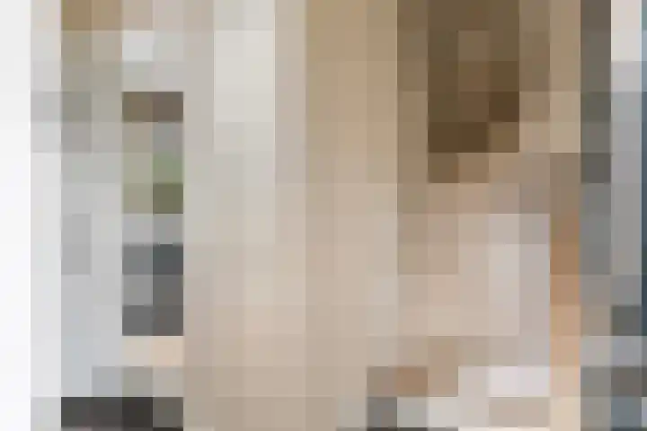 Faunastraat 20 Apeldoorn thumbnail 11