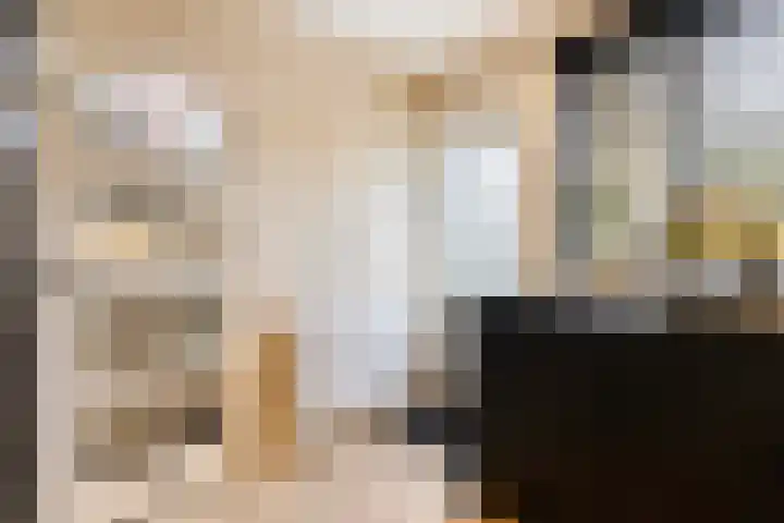 Faunastraat 20 Apeldoorn thumbnail 14