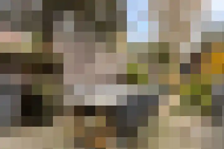 Faunastraat 20 Apeldoorn thumbnail 16