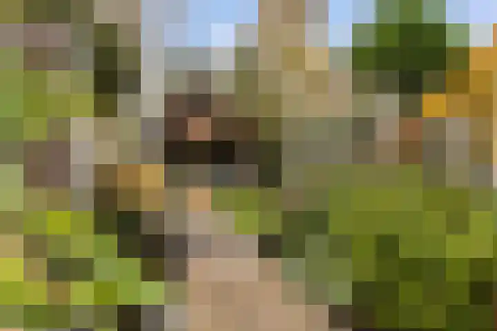 Faunastraat 20 Apeldoorn thumbnail 17