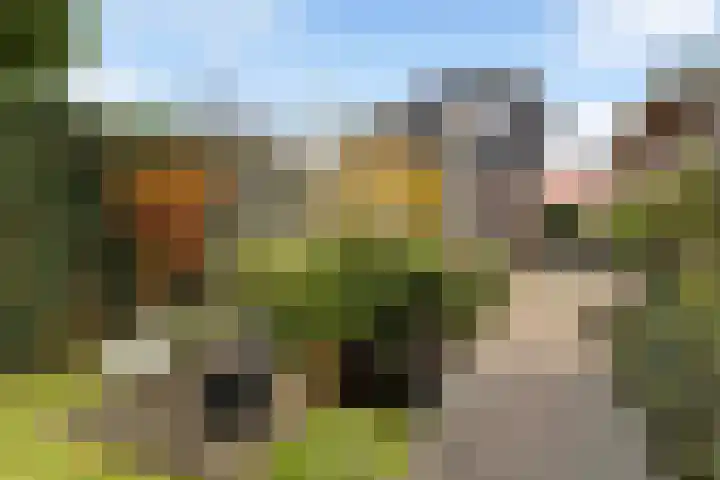 Faunastraat 20 Apeldoorn thumbnail 18