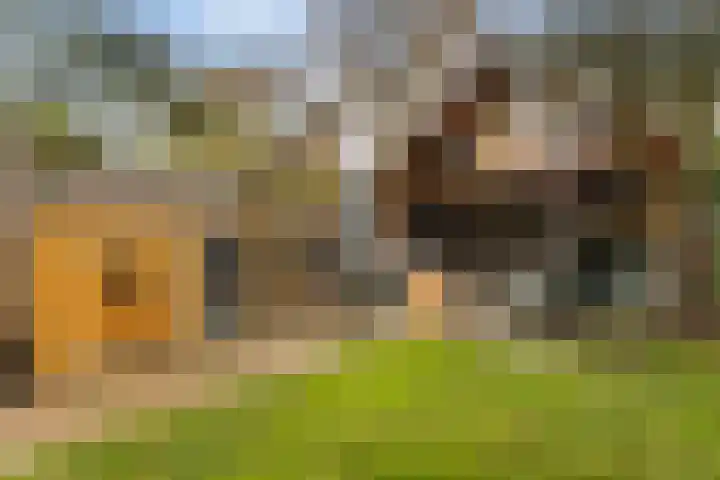Faunastraat 20 Apeldoorn thumbnail 19