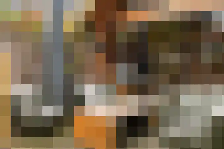 Faunastraat 20 Apeldoorn thumbnail 20