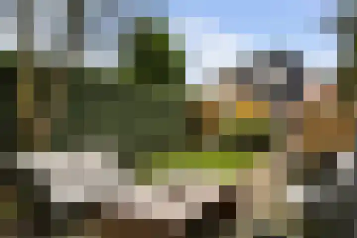 Faunastraat 20 Apeldoorn thumbnail 21