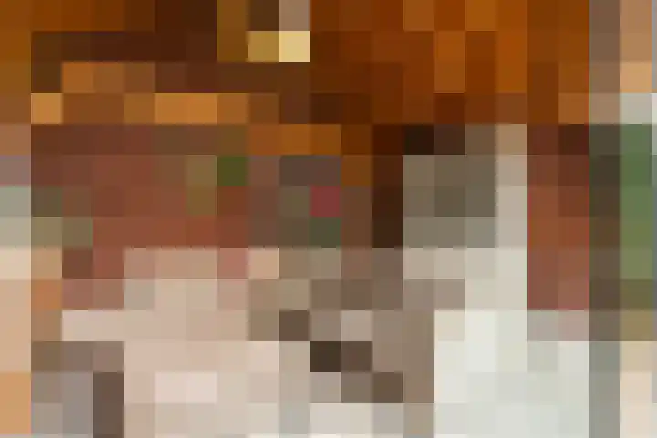 Faunastraat 20 Apeldoorn thumbnail 22