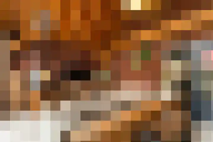 Faunastraat 20 Apeldoorn thumbnail 23