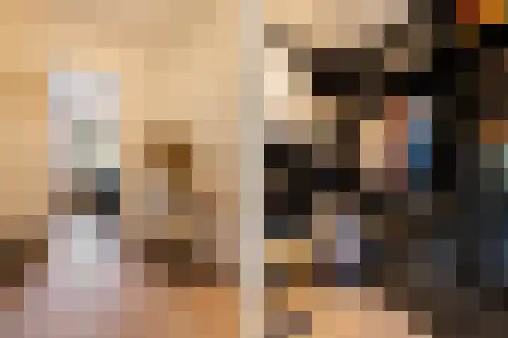 Faunastraat 20 Apeldoorn thumbnail 29