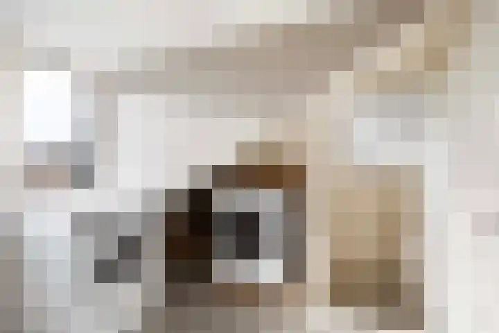Faunastraat 20 Apeldoorn thumbnail 30