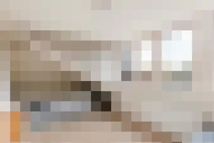 Faunastraat 20 Apeldoorn thumbnail 31