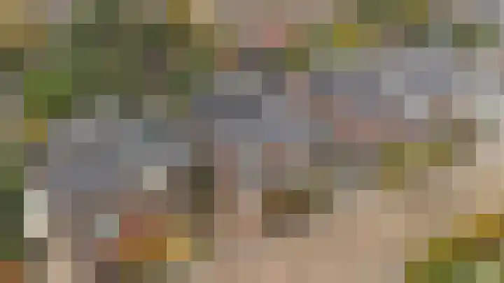 Faunastraat 20 Apeldoorn thumbnail 32