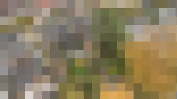Faunastraat 20 Apeldoorn thumbnail 33