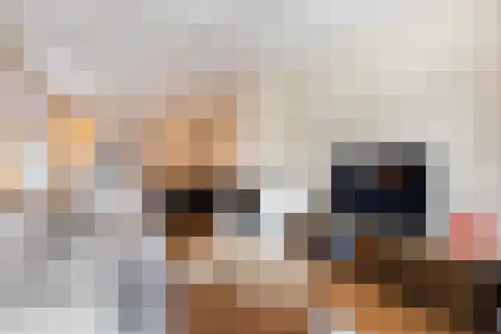 Faunastraat 20 Apeldoorn thumbnail 7