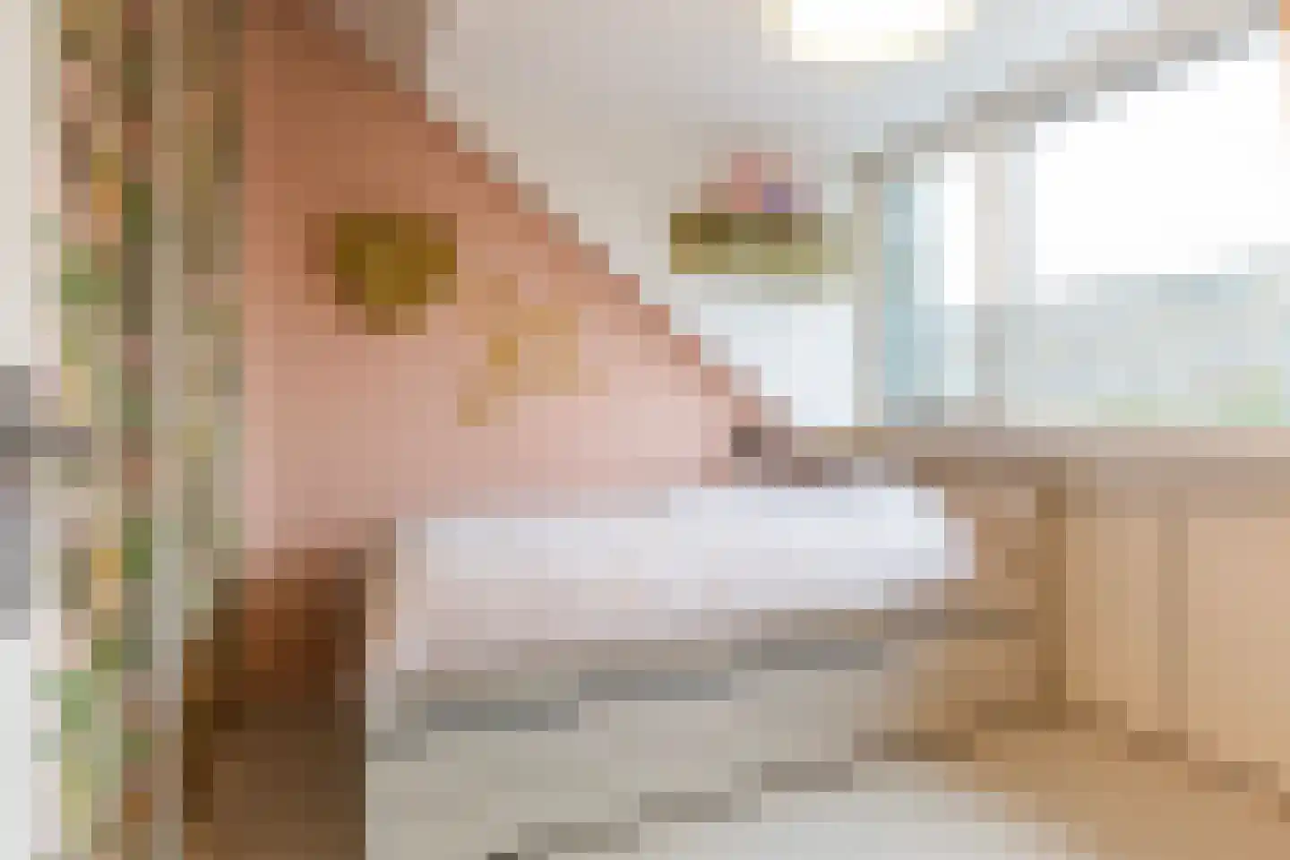 Faunastraat 4 Apeldoorn thumbnail 28