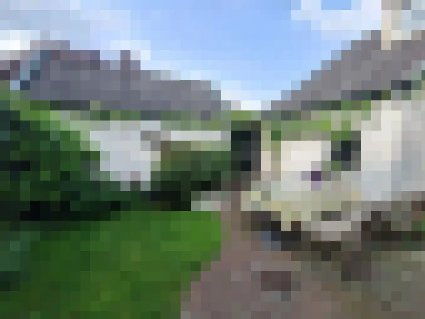 Faunastraat 4 Apeldoorn thumbnail 40