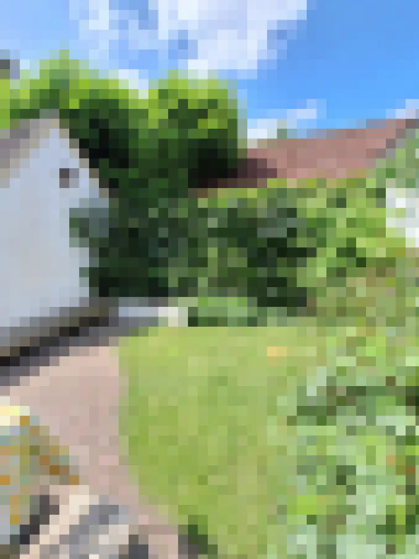Faunastraat 4 Apeldoorn thumbnail 43