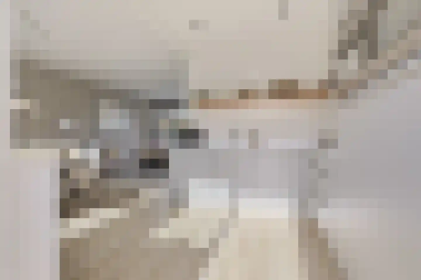 Faunastraat 47 Wormer thumbnail 9