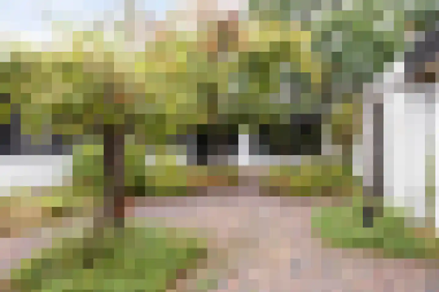 Faunuslaan 7 Eindhoven thumbnail 29