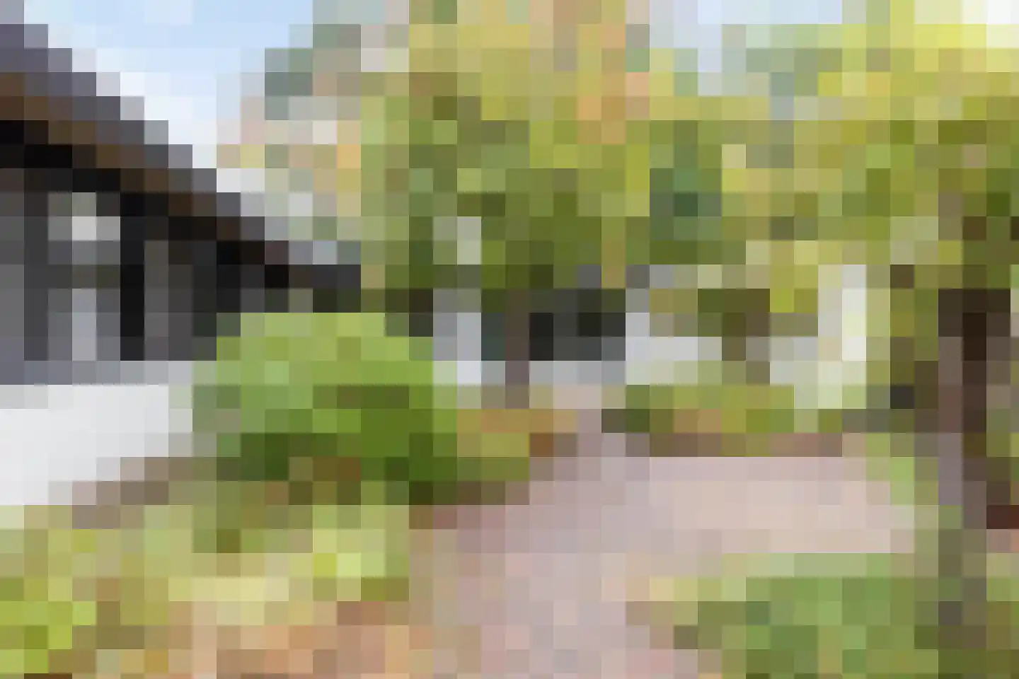 Faunuslaan 7 Eindhoven thumbnail 30