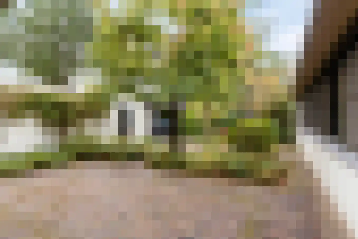 Faunuslaan 7 Eindhoven thumbnail 32