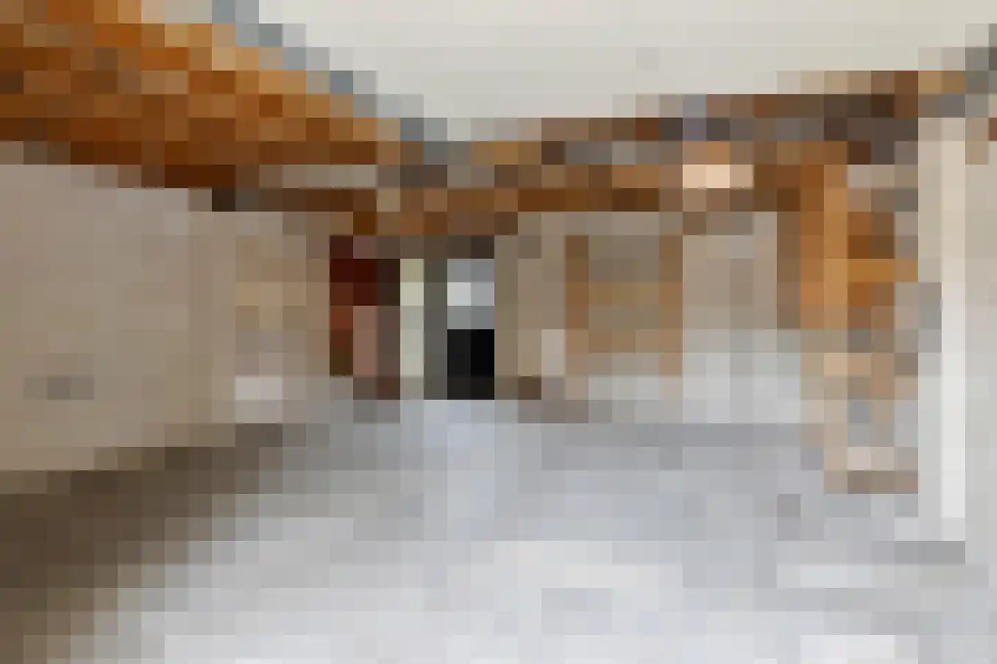 Faunuslaan 7 Eindhoven thumbnail 37