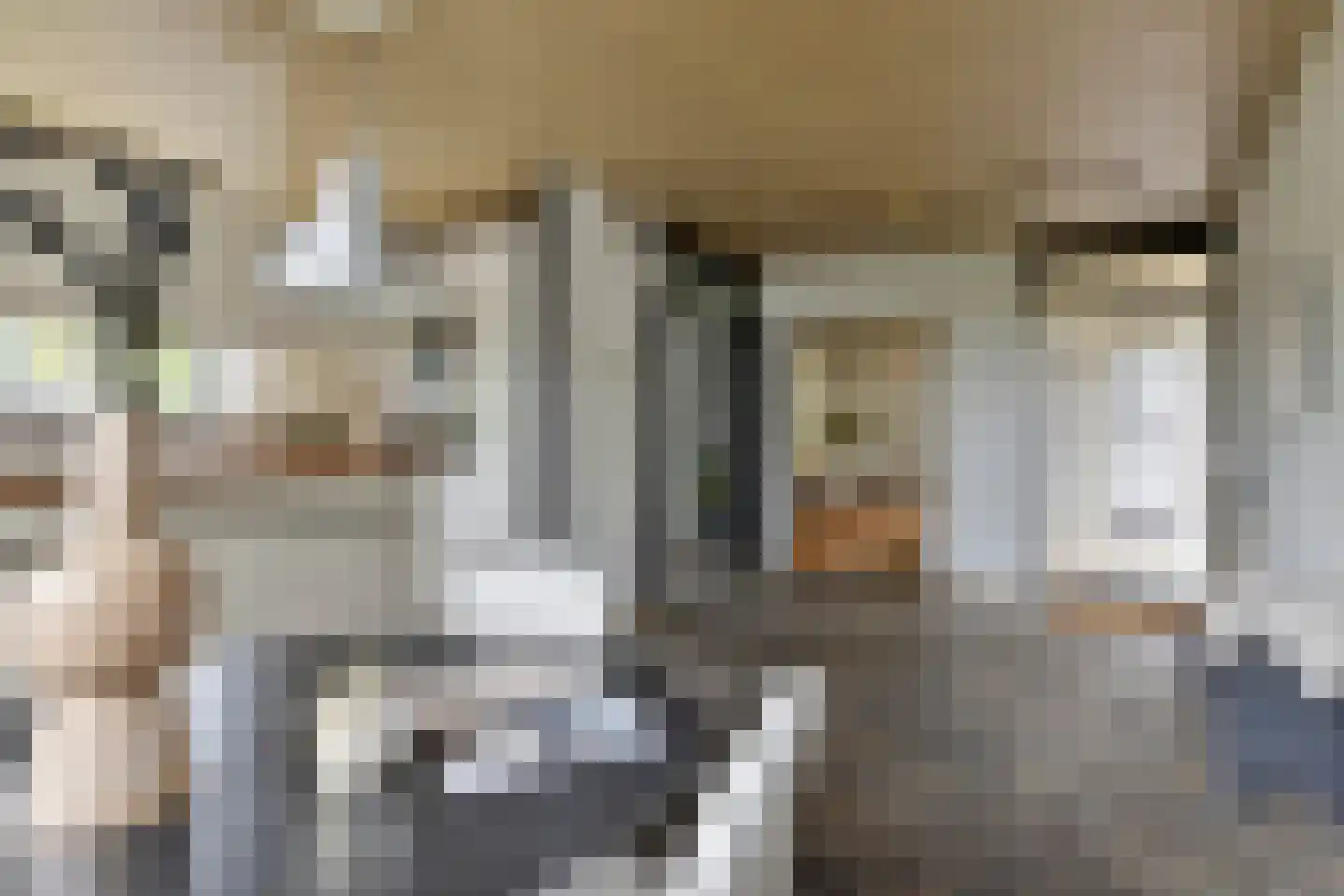Faunuslaan 7 Eindhoven thumbnail 6