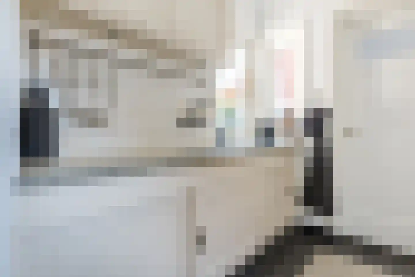 Faurestraat 1 Bergen op Zoom thumbnail 26