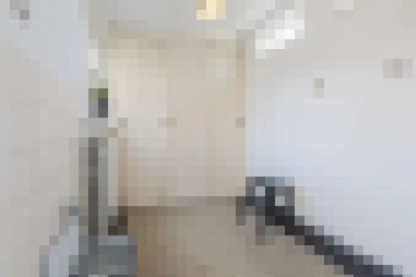 Faurestraat 1 Bergen op Zoom thumbnail 28