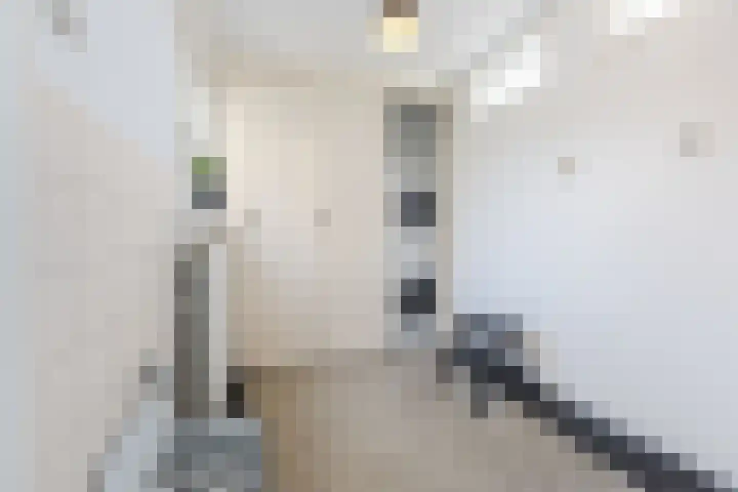 Faurestraat 1 Bergen op Zoom thumbnail 29
