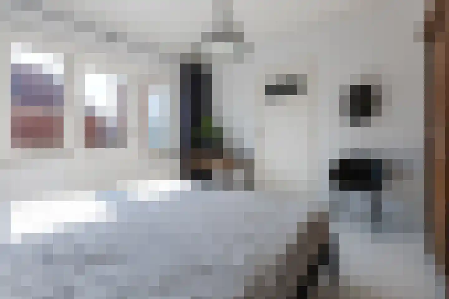 Faurestraat 1 Bergen op Zoom thumbnail 33