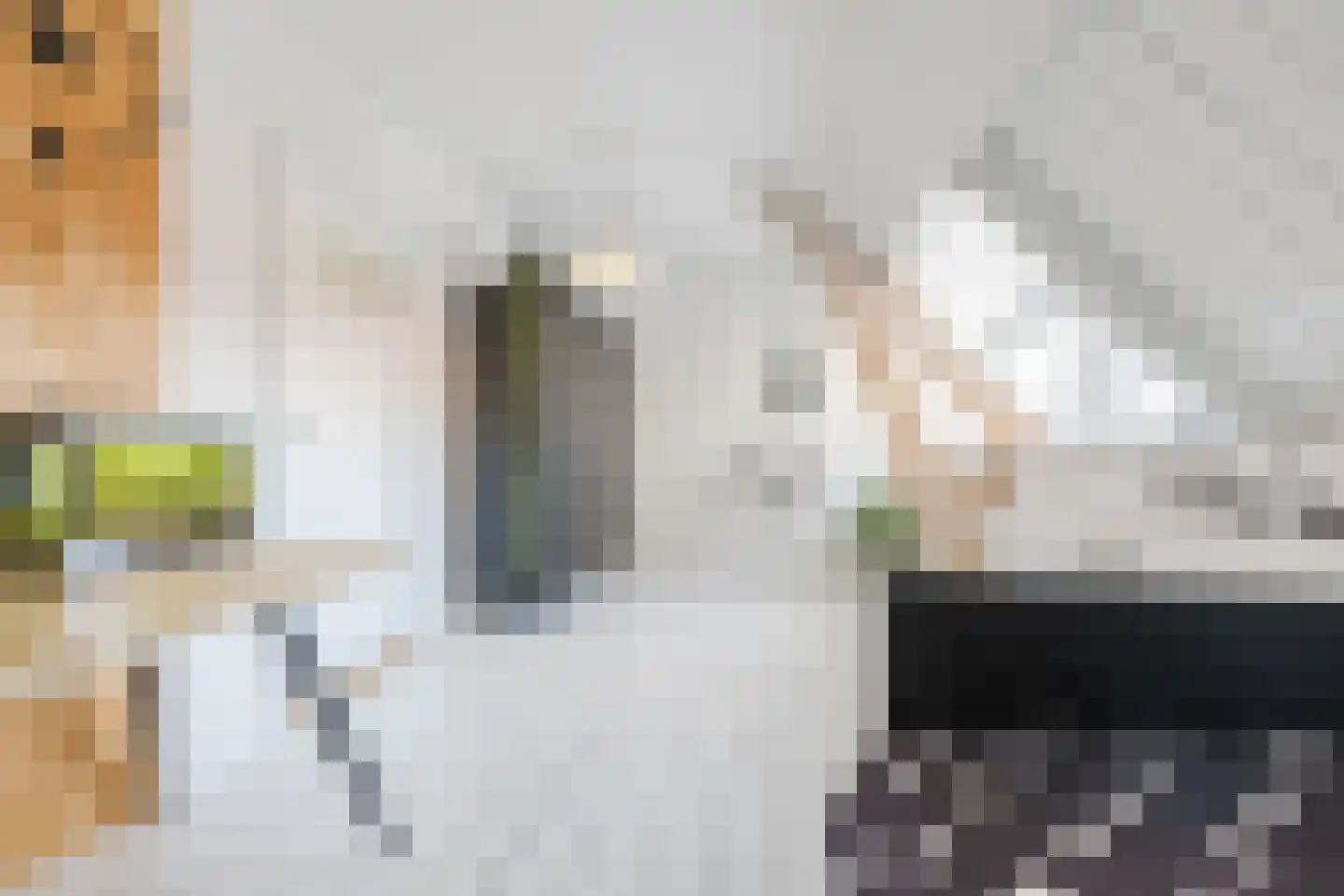 Faurestraat 1 Bergen op Zoom thumbnail 54