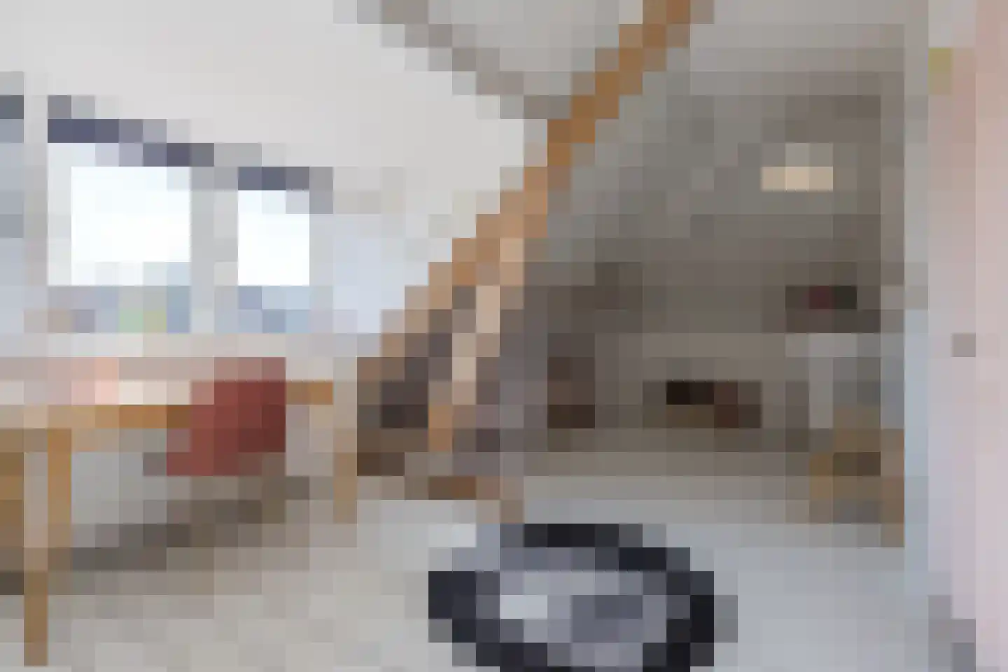 Faurestraat 1 Bergen op Zoom thumbnail 55