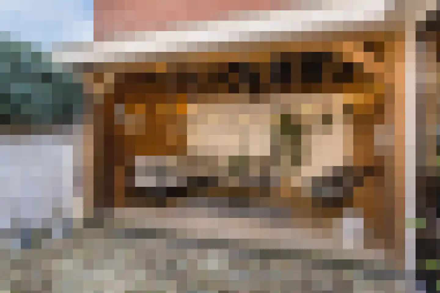 Faurestraat 1 Bergen op Zoom thumbnail 6