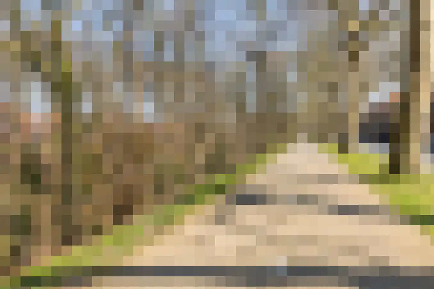 Faurestraat 1 Bergen op Zoom thumbnail 78