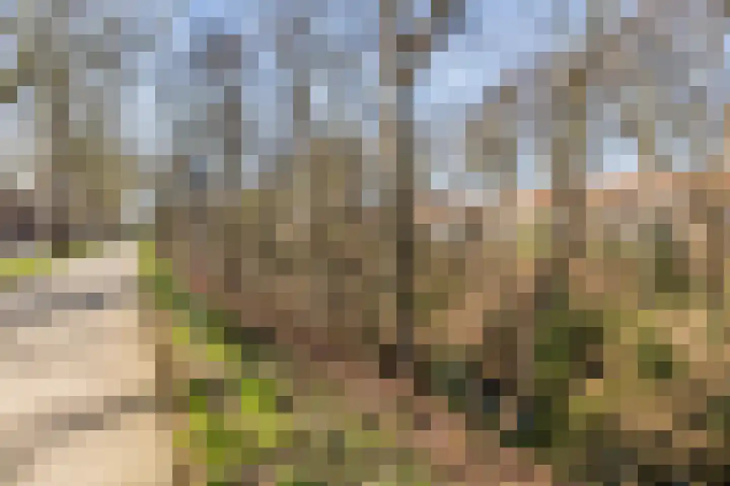 Faurestraat 1 Bergen op Zoom thumbnail 79