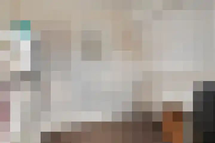 Faurestraat 22 Bergen op Zoom thumbnail 33