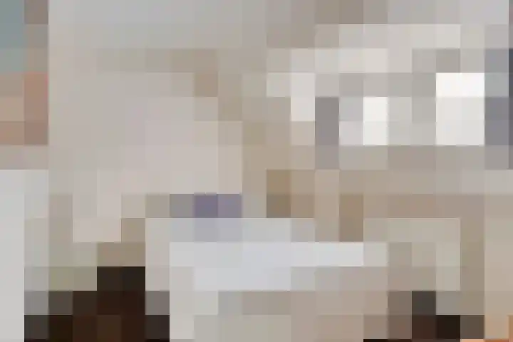Faurestraat 22 Bergen op Zoom thumbnail 34