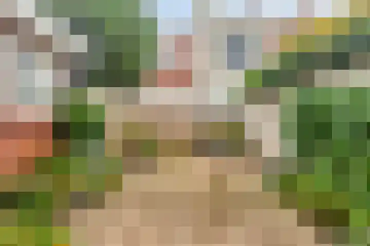 Faurestraat 22 Bergen op Zoom thumbnail 36