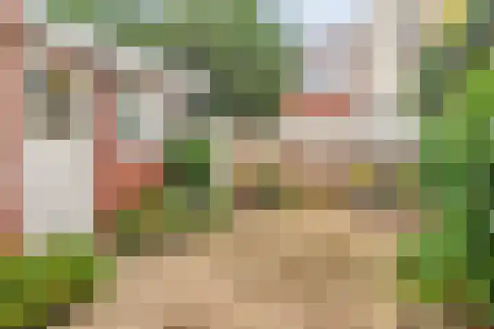 Faurestraat 22 Bergen op Zoom thumbnail 37