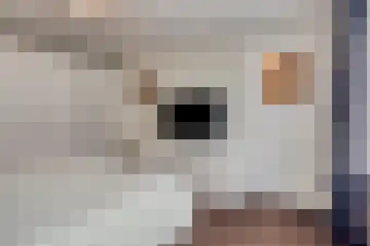 Faurestraat 22 Bergen op Zoom thumbnail 4
