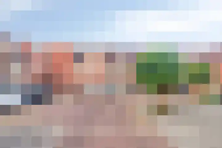 Faurestraat 22 Bergen op Zoom thumbnail 41