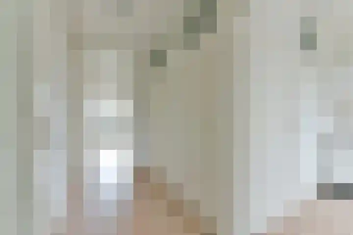 Faustdreef 17 Utrecht thumbnail 8
