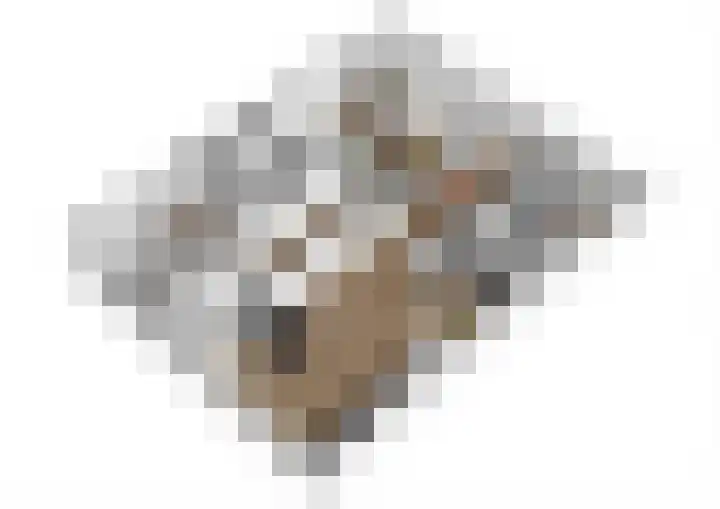 Faustdreef 25 Utrecht thumbnail 11