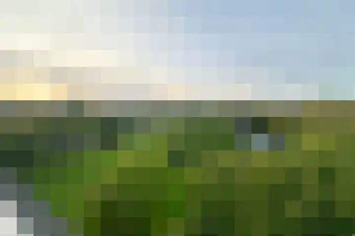 Faustdreef 25 Utrecht thumbnail 14