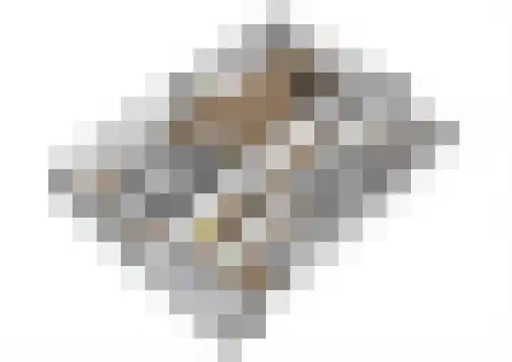 Faustdreef 263 Utrecht thumbnail 5