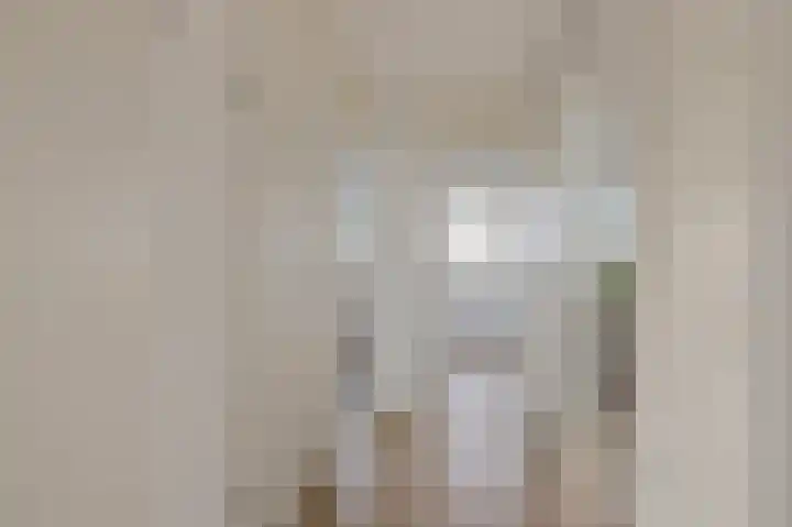Faustdreef 307 Utrecht thumbnail 4