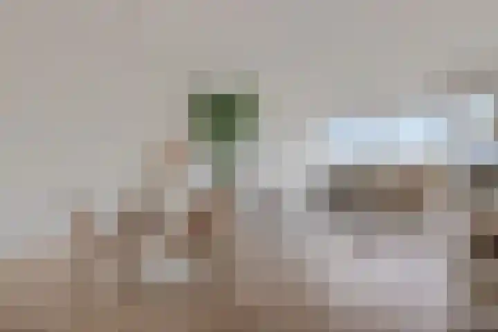 Faustdreef 307 Utrecht thumbnail 5
