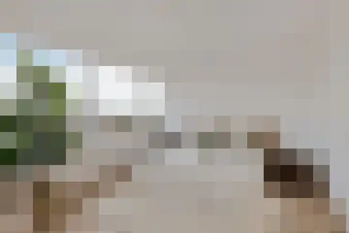 Faustdreef 319 Utrecht thumbnail 16