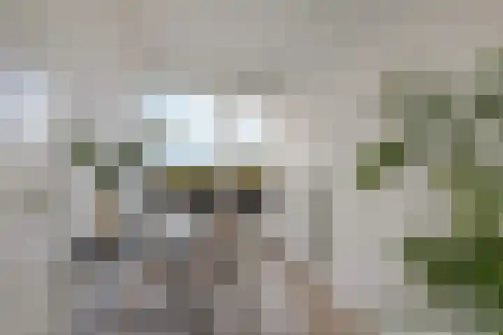 Faustdreef 319 Utrecht thumbnail 20